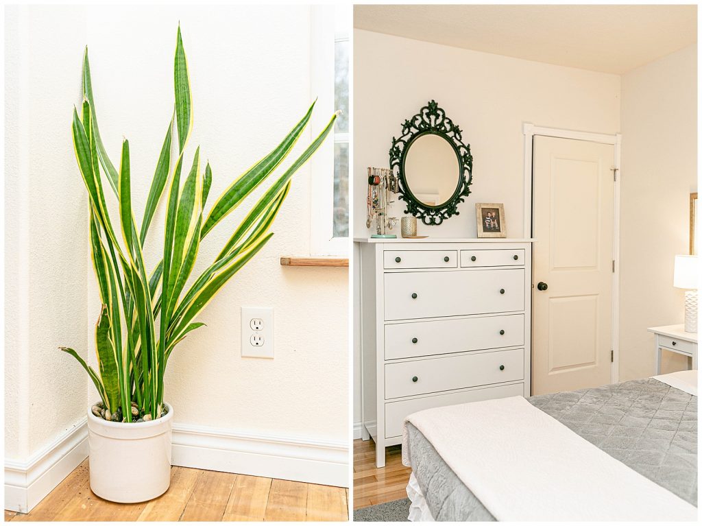 Plants and Dresser in Bedroom Interior Design