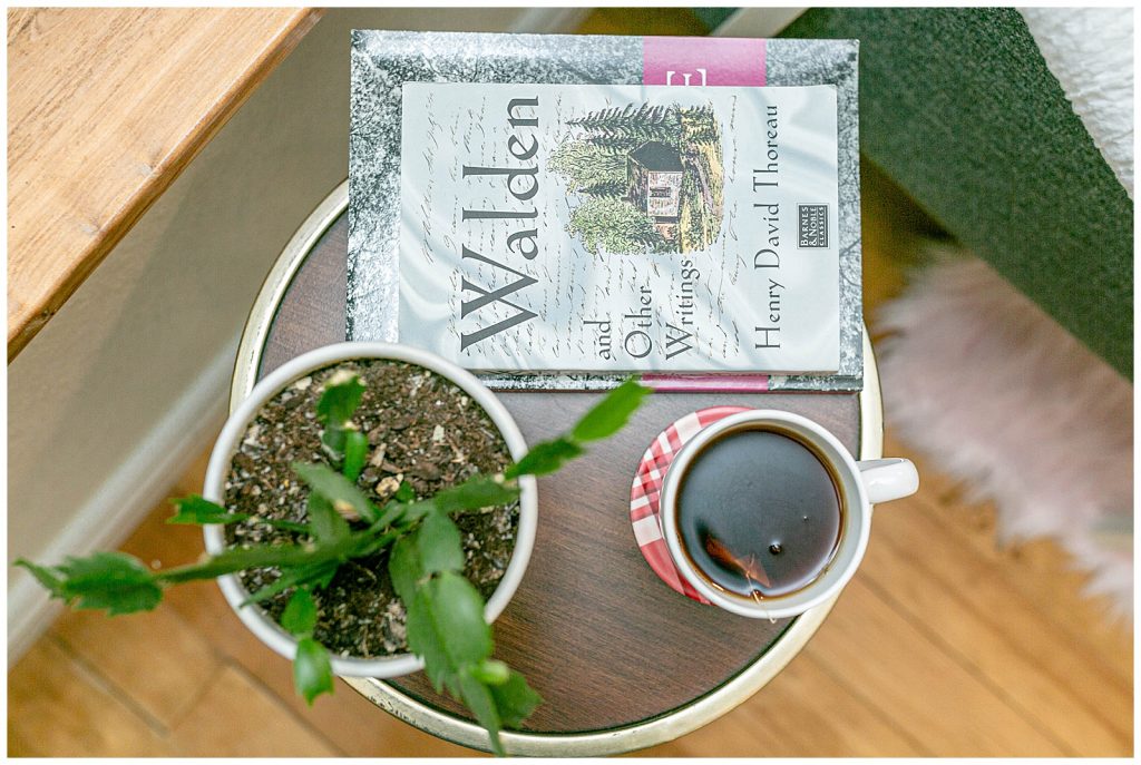Tea, Plant and Books