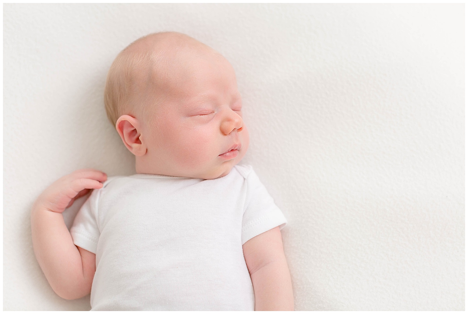 Newborn portrait of newborn sleeping naturally posed
