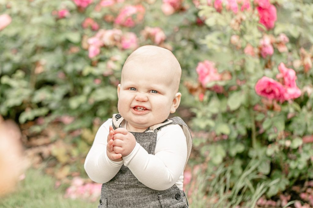 Light-skinned one year old baby clapping and laughing in the rose garden - documenting baby's first year
