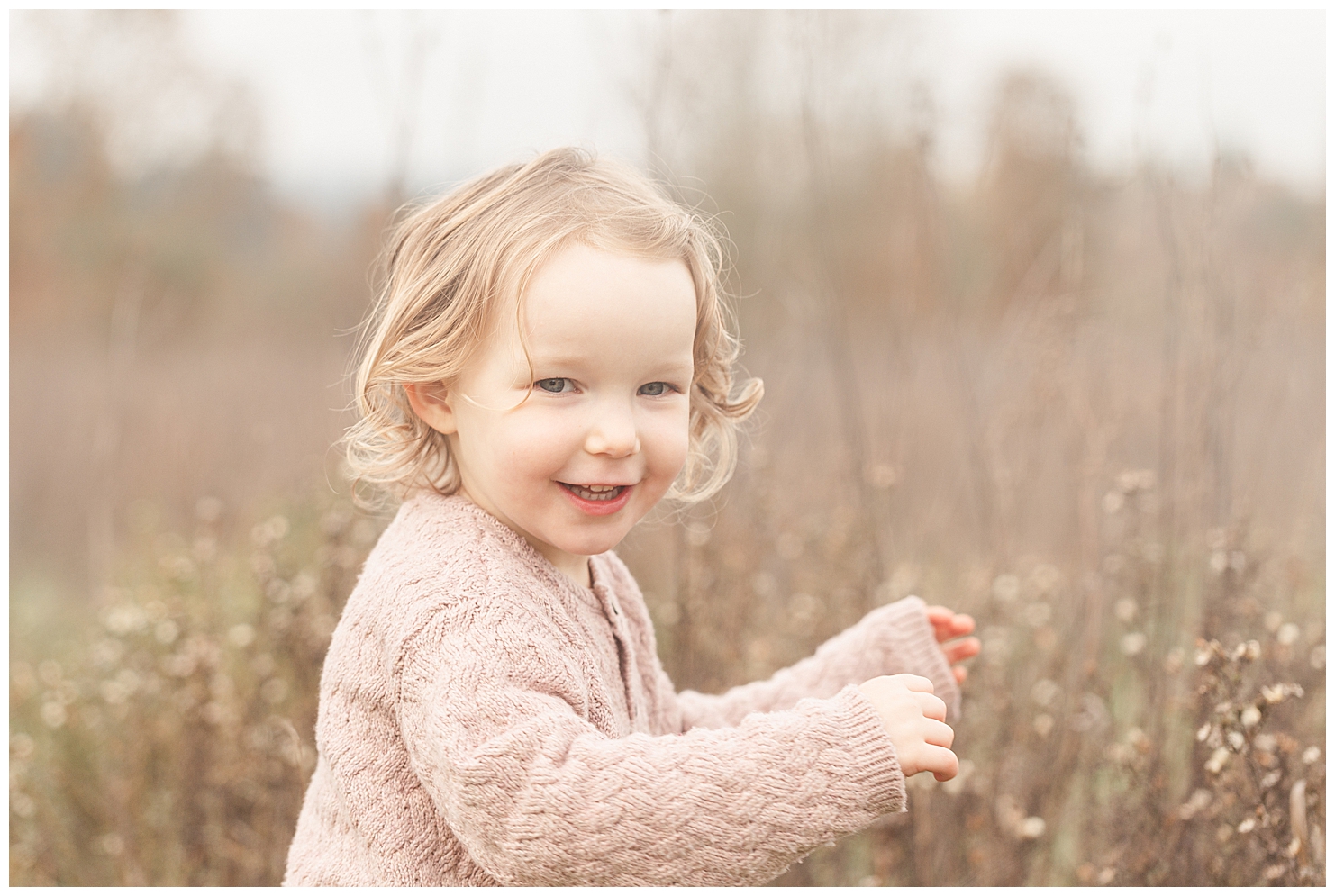 Three year old girl in pink sweater exploring nature and having fun during fall family photos. 