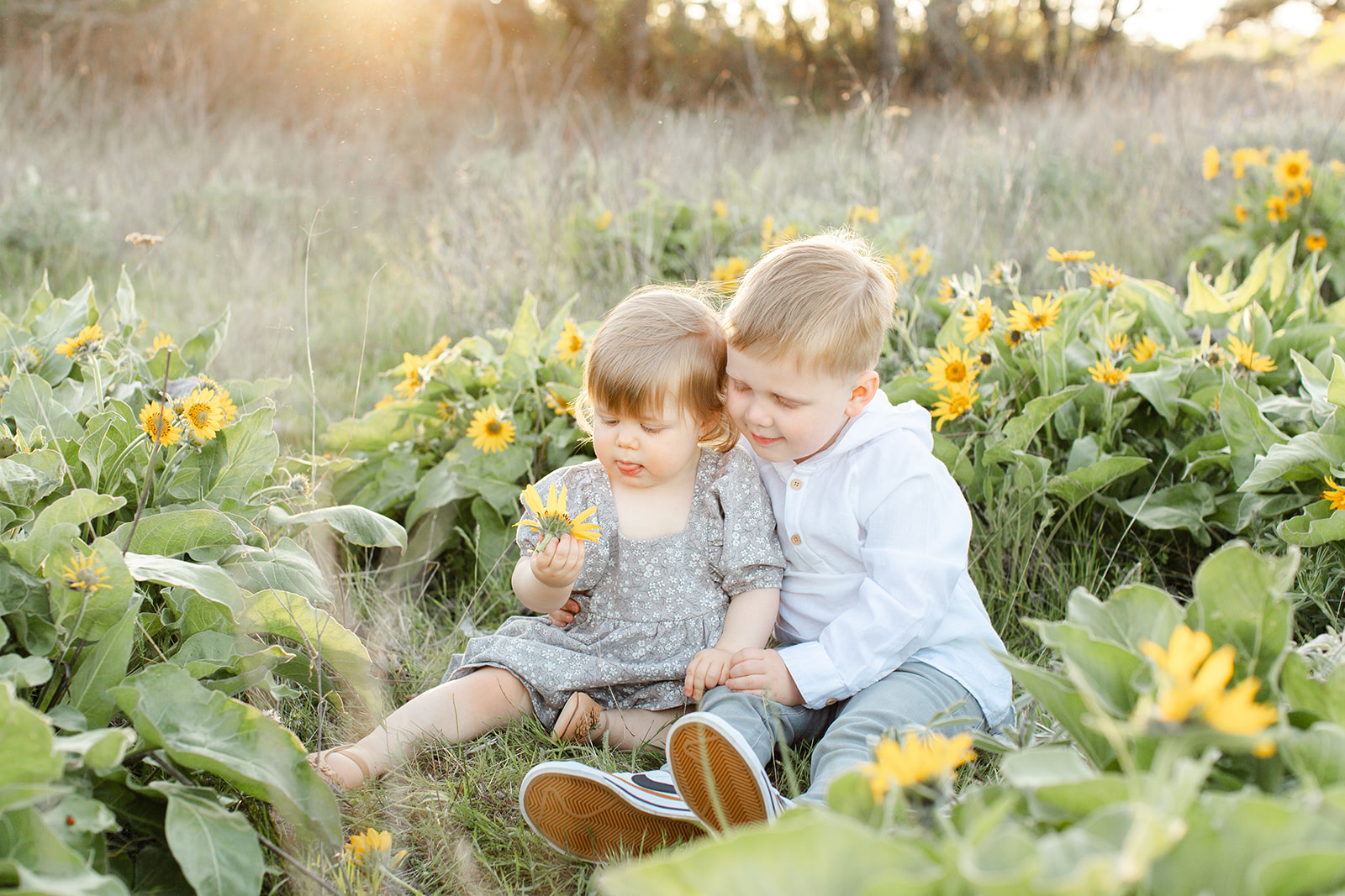 A toddler boy hugs on his little sister as they sit among wildflowers in a park at sunset