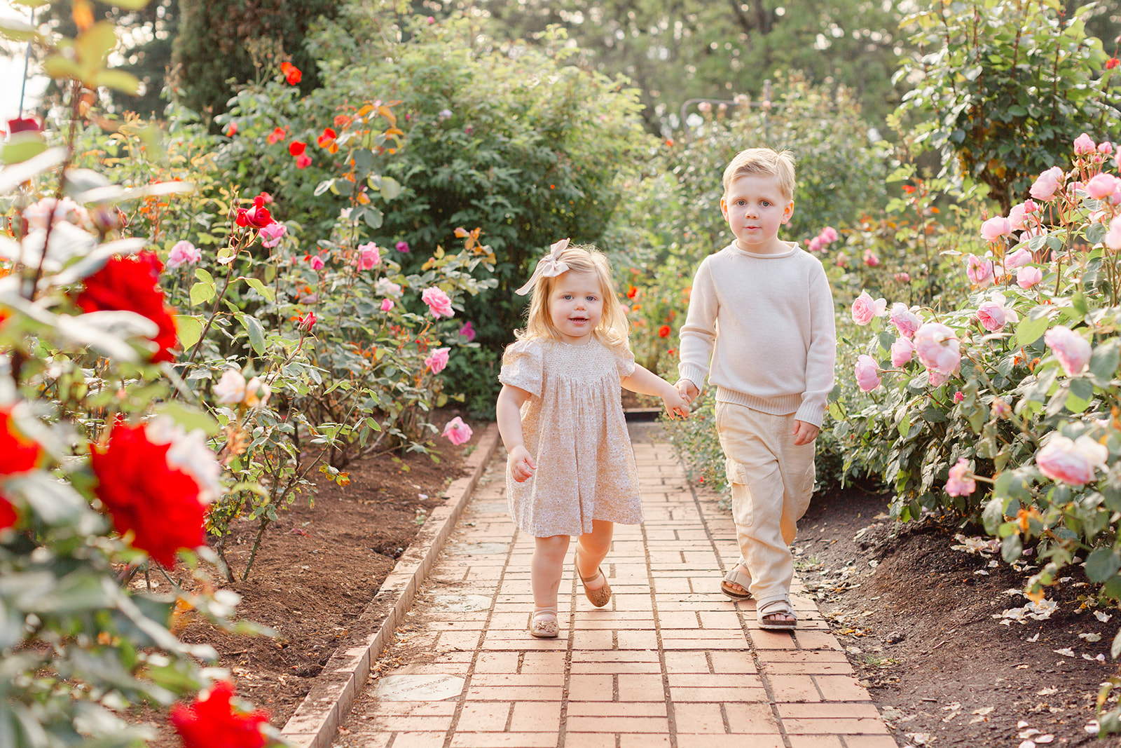 Toddler siblings holding hands while walking through the Portland Rose gardens. They are both dressed in light colored neutral outfits.