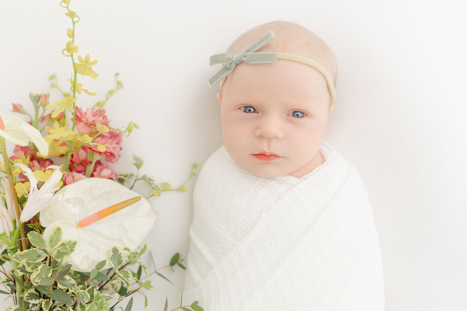 Newborn Photographer Portland