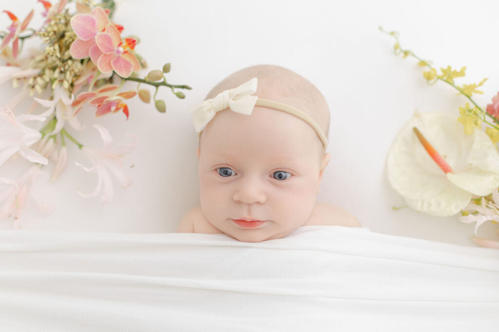 Newborn Pictures Portland