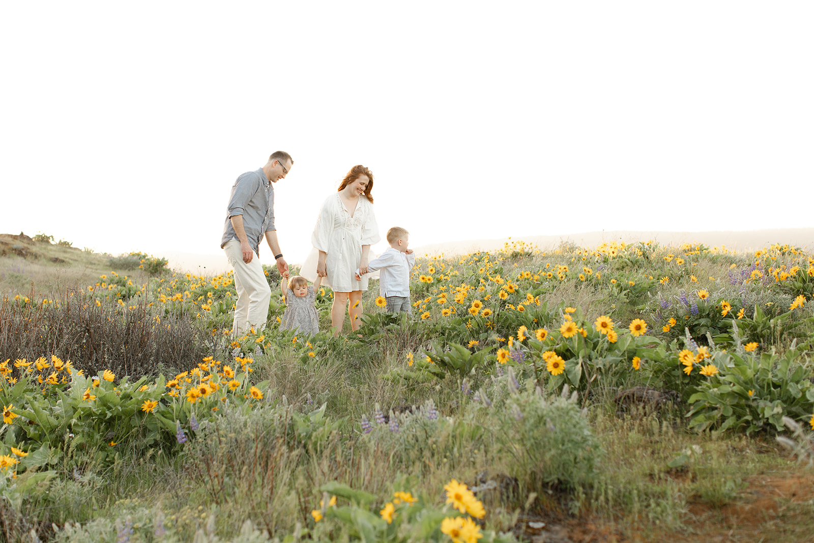summer family photos.