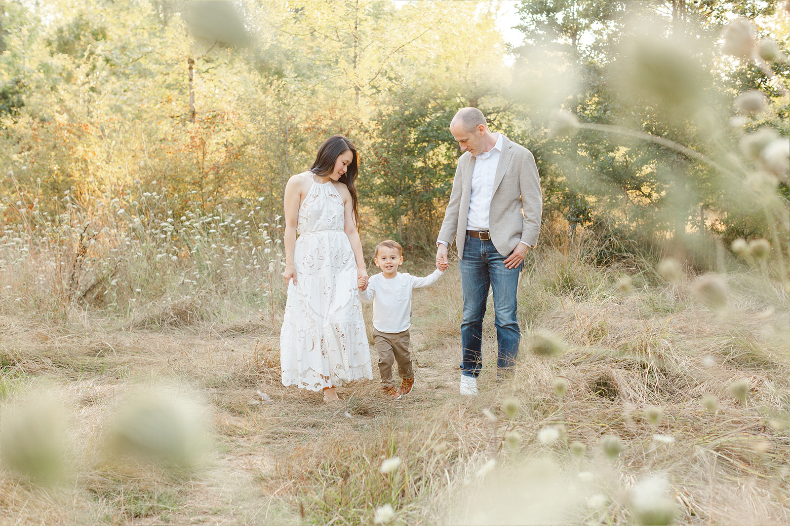 Family Photos in a beautiful golden field with tall queen anne's lace flowers everywhere. Mom and dad and 3 year old son are walking together and interacting with one another. The shot is framed by some blurred out flowers. Photos were done in Portland, Oregon