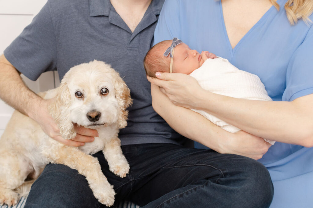 Natural lifestyle family photos in Portland with pets included in session